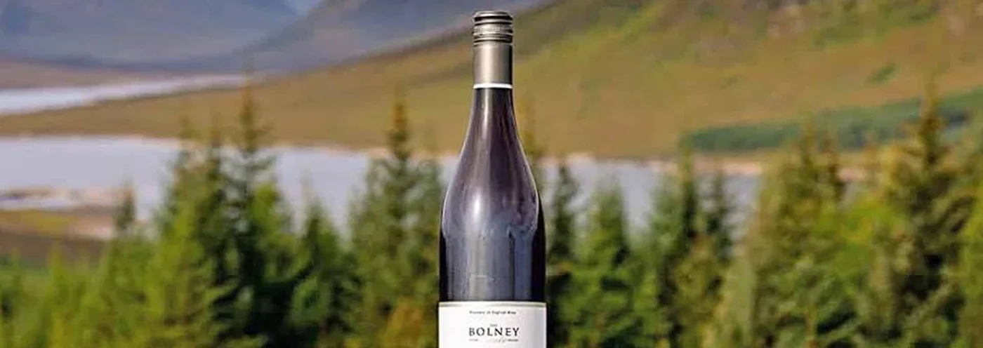 EWGA Wines case study