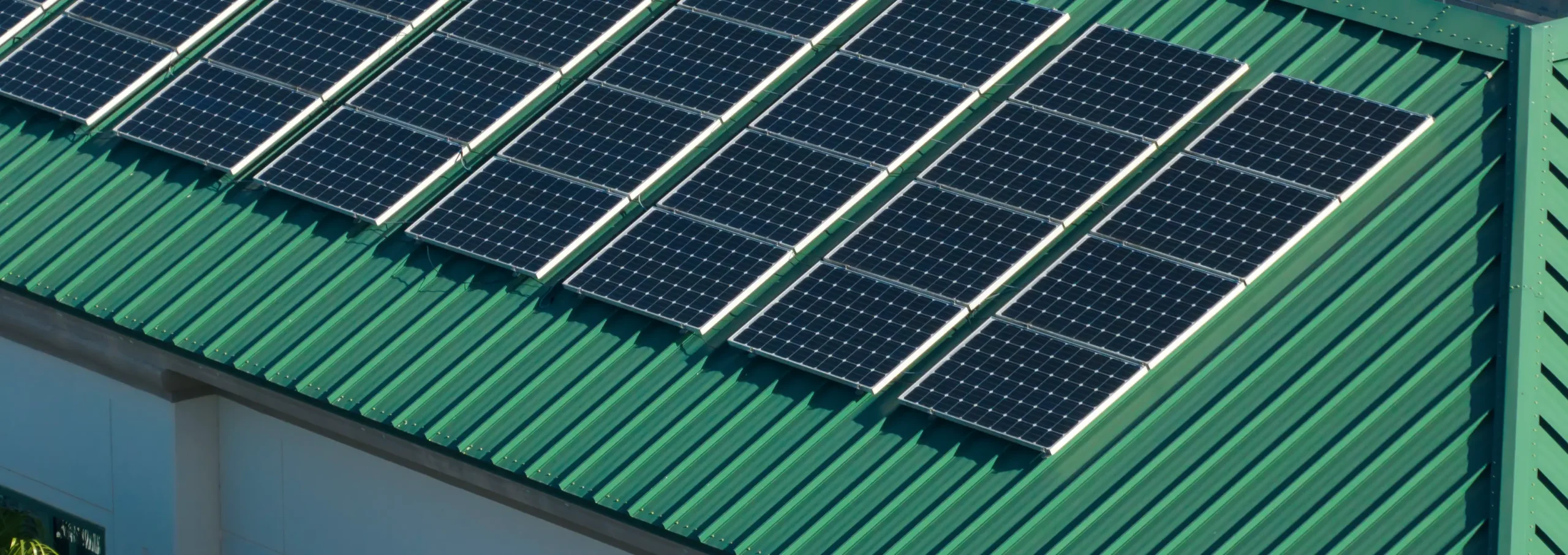 Solar panel arrays on a green commercial roof