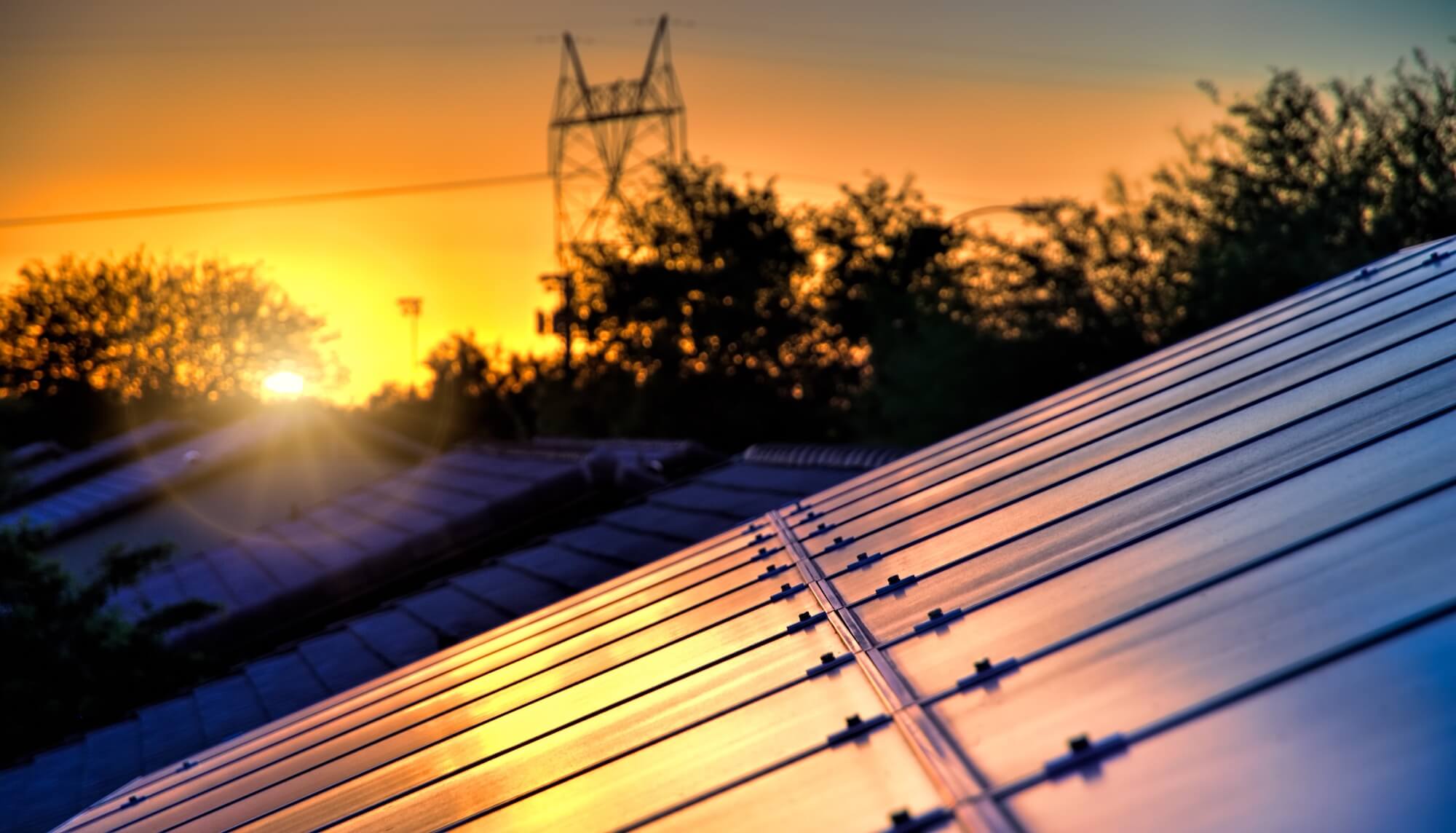 Close view of solar panels reflecting evening sunlight