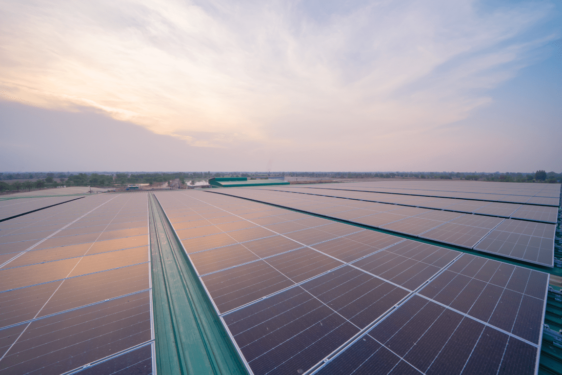 Extensive roof-mounted solar panel array
