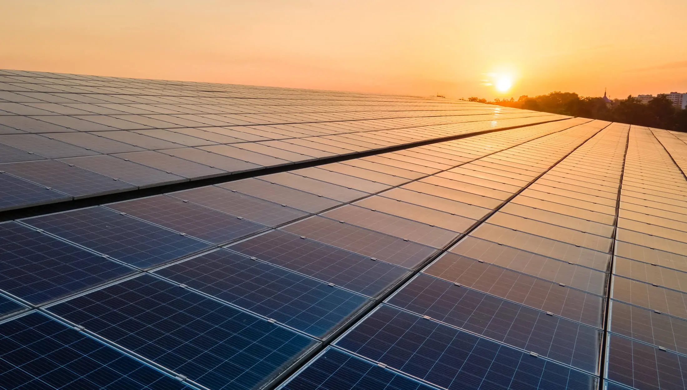 Solar panels capturing the evening sun